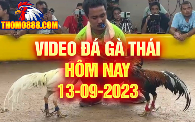 da ga thai hom nay 13 09 2023