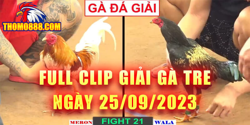 giai ga tre ngay 25 09 2023