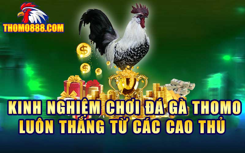 kinh nghiem choi da ga thomo luon thang tu cac cao thu