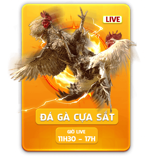 dagacuasat thomo888