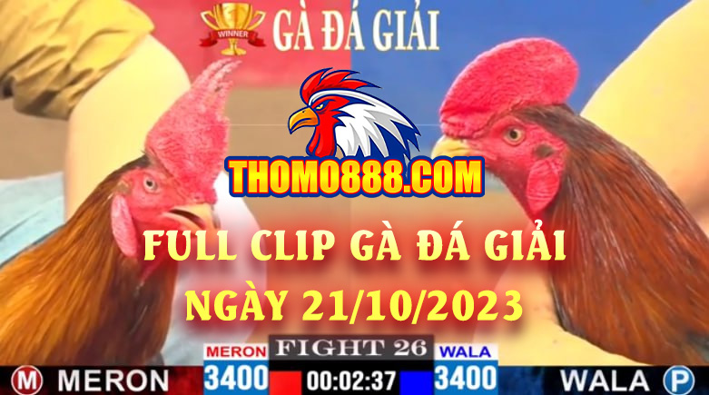 FULL CLIP GÀ ĐÁ GIẢI NGÀY 21/10/23 TẠI BỒ 67.