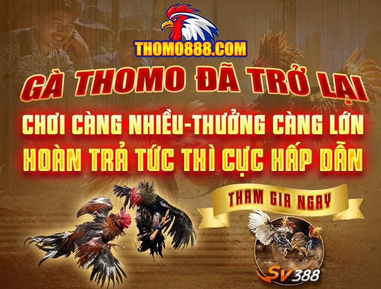 da ga thomo888 chinh thuc mo cuoc tro lai