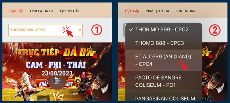 da ga truc tiep thomo888