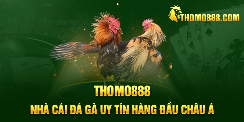 thomo888 nha cai da ga uy tin hang dau chau a