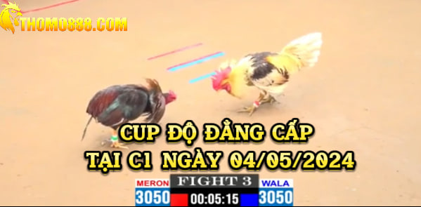 Cup Độ Đẳng Cấp Tại C1 Ngày 04/05/2024