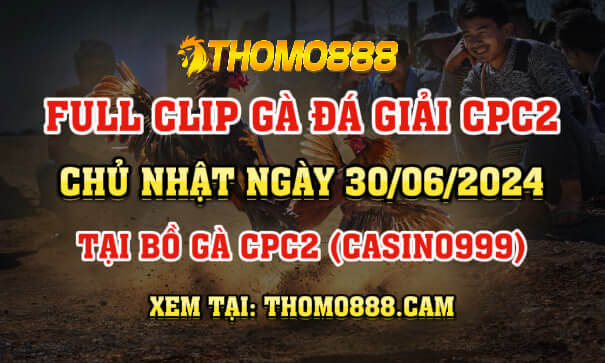 Gà Đá Giải CPC2 Ngày 30/06/2024