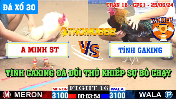 Trận 16 CPC1 Ngày 25/06/2024