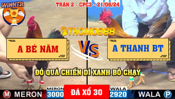 Trận 2 CPC3 Ngày 21/06/2024