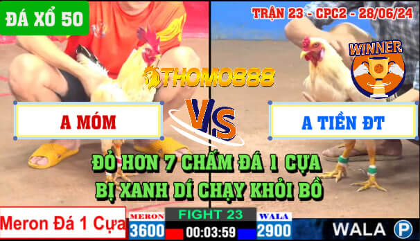 Trận 23 CPC2 Ngày 28/06/2024