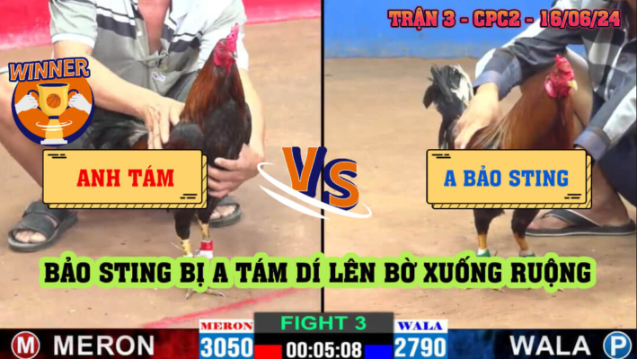 Trận 3 CPC2 Ngày 16/06/2024