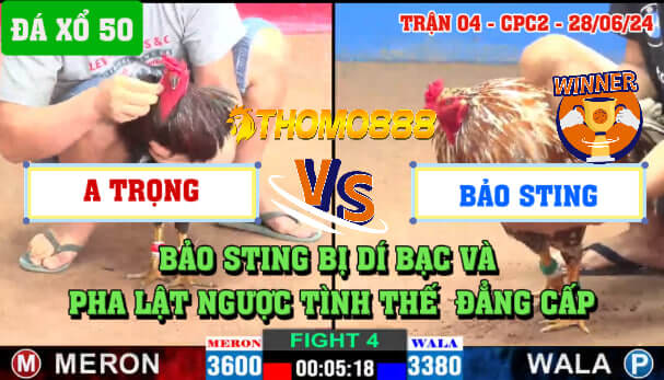 Trận 4 CPC2 Ngày 28/06/2024