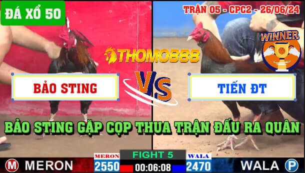 Trận 5 CPC2 Ngày 26/06/2024