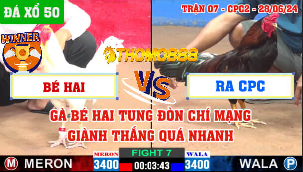 Trận 7 CPC2 Ngày 28/06/2024