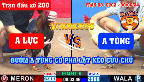 Trận 8 CPC2 Ngày 30/06/2024