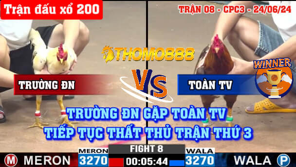 Trận 8 CPC3 Ngày 24/06/2024