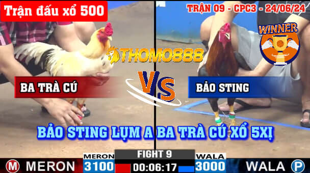 Trận 9 CPC3 Ngày 24/06/2024