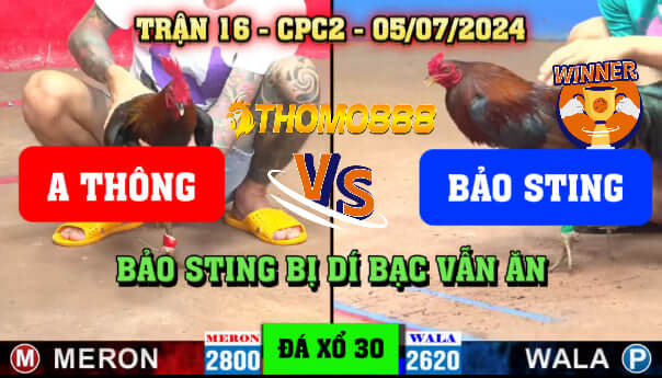 Trận 16 CPC2 Ngày 05/07/2024