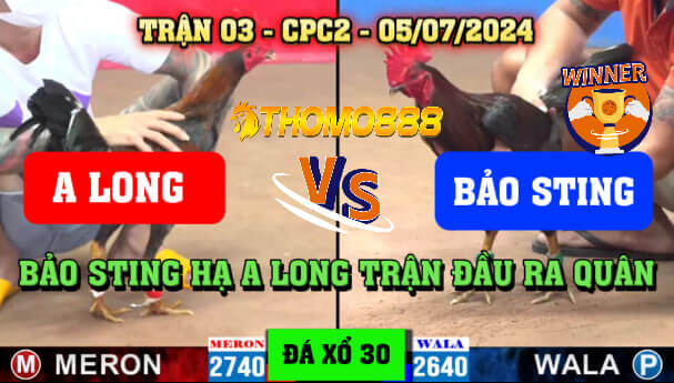 Trận 3 CPC2 Ngày 05/07/2024