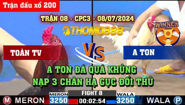 Trận 8 CPC3 Ngày 08/07/2024