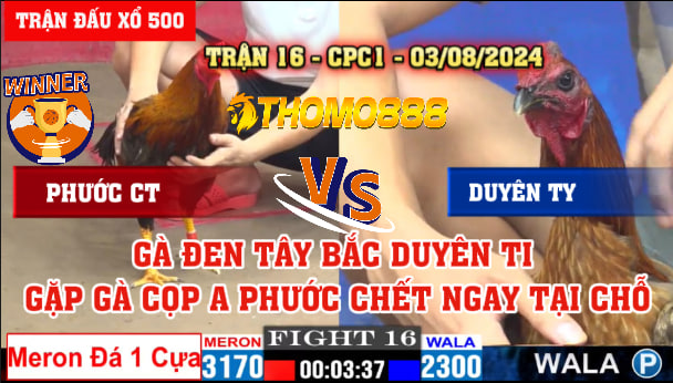 Trận 16 CPC1 Ngày 03/08/2024