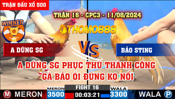 Trận 16 CPC3 Ngày 11/08/2024