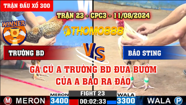 Trận 23 CPC3 Ngày 11/08/2024