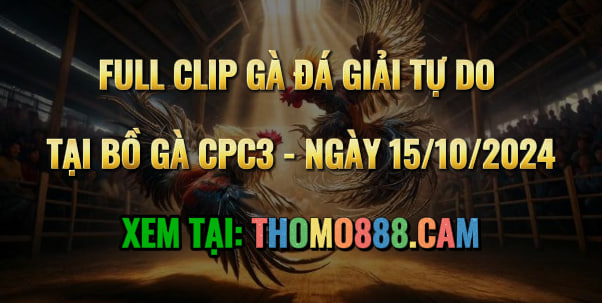 Gà Đá Giải CPC3 Ngày 15/10/2024