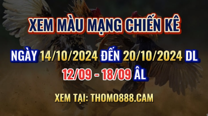 Màu Mạng Chiến Kê Ngày 14/10 Đến 20/10/2024