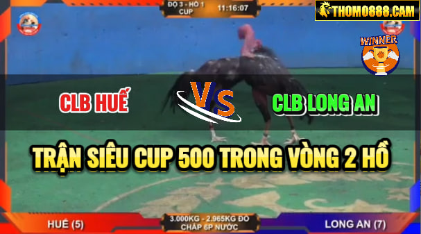 siêu cup 500 huế với long an