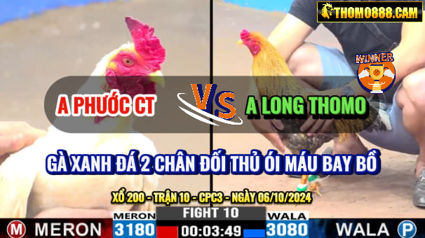 Trận 10 CPC3 Ngày 06/10/2024